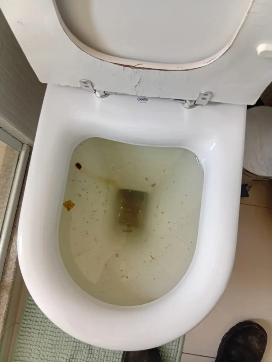 Vaso sanitário entupido
